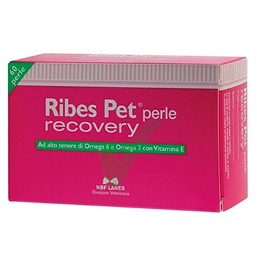 N.B.F. Lanes Linea Animali Domestici Ribes Pet Recovery Cani e Gatti 60 Perle