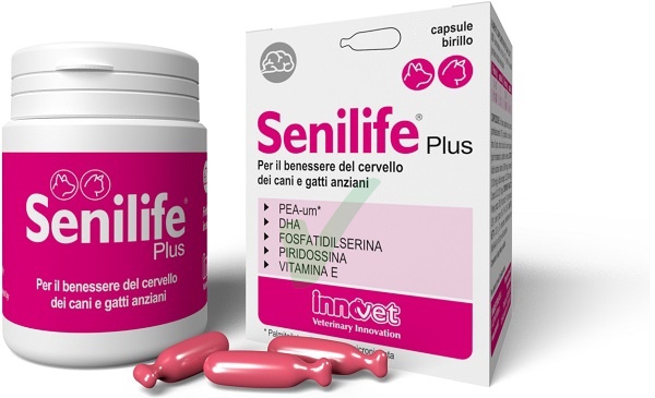 Senilife Plus 30 Capsule