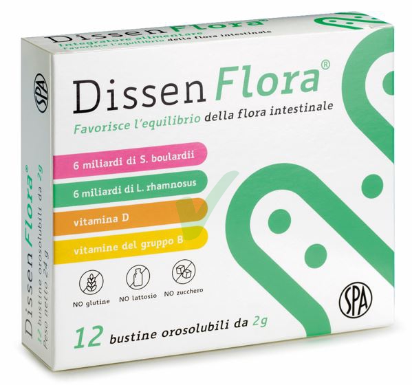 Dissen Flora 12 Buste