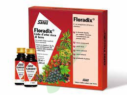 Floradix Integratore 10 flaconcini da 20ml