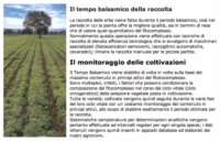 Aboca Integratori Linea Drenante Ribes Nero Concentrato Totale 50 Opercoli