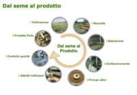 Aboca Integratori Linea Drenante Ribes Nero Concentrato Totale 50 Opercoli