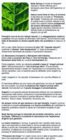 Body Spring Integratore Alimentare Bio Potassio 60 Compresse